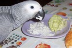 Dudu jede rižu